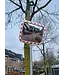 Ri-Traffic Traffic mirror - 60 x 40 cm - red / white - acrylic