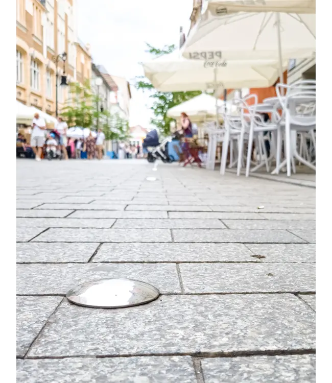 Ri-Traffic RVS Markeringsnagel