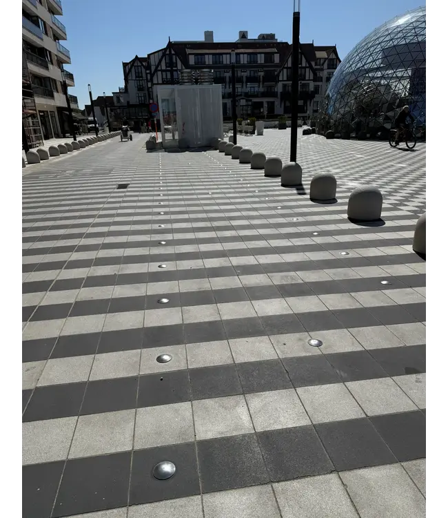 Ri-Traffic RVS Markeringsnagel