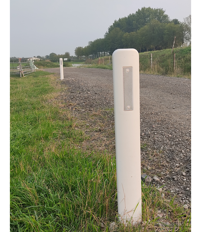 Ri-Traffic Harpoenpaal wit met 2 reflectoren