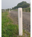 Ri-Traffic Delineator post white with 2 reflectors