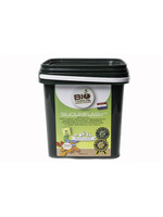 BIOTABS SILICIUM FLASH