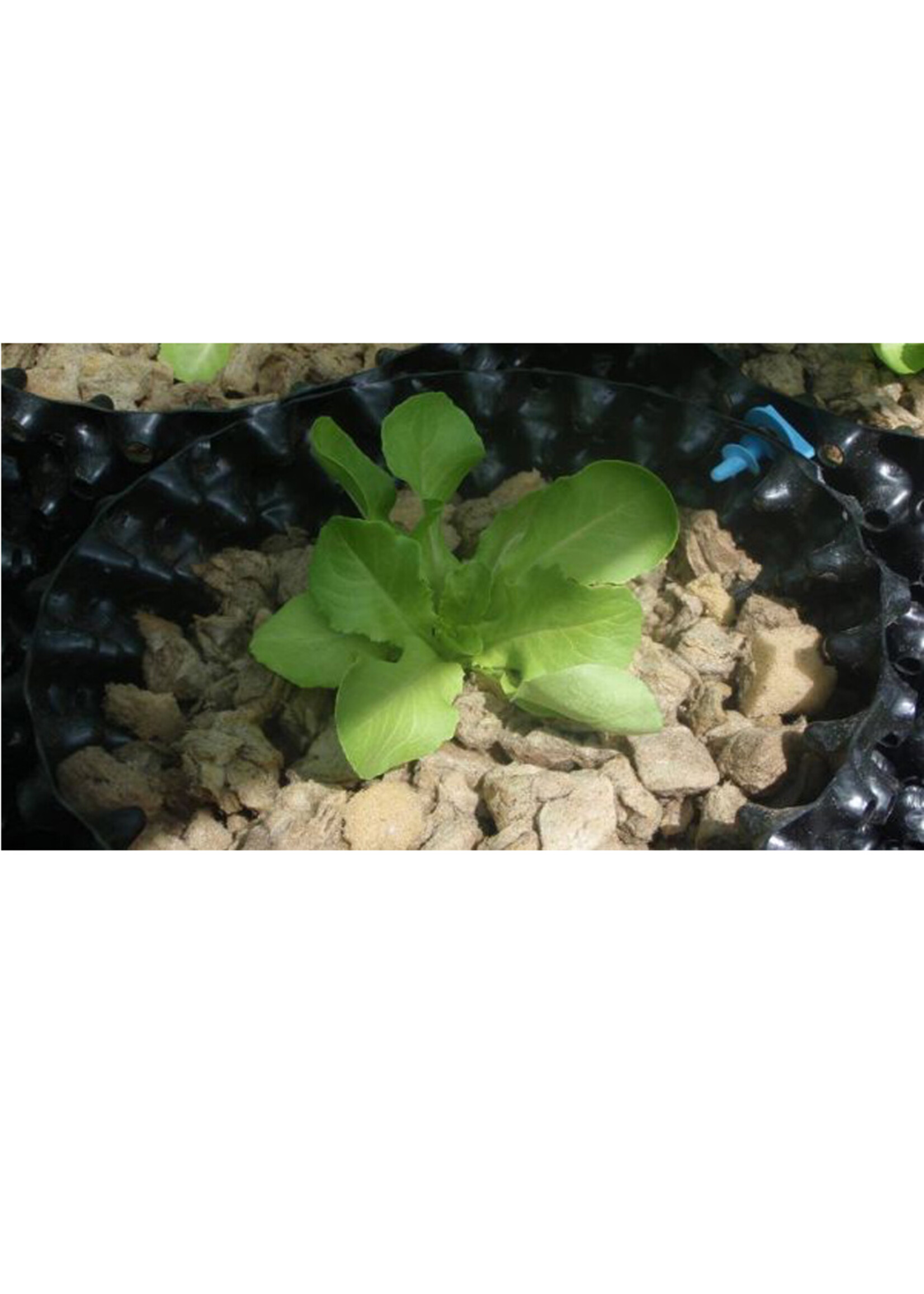 AGRA-WOOL AGRA-WOOL RFX-1 MIX 80L