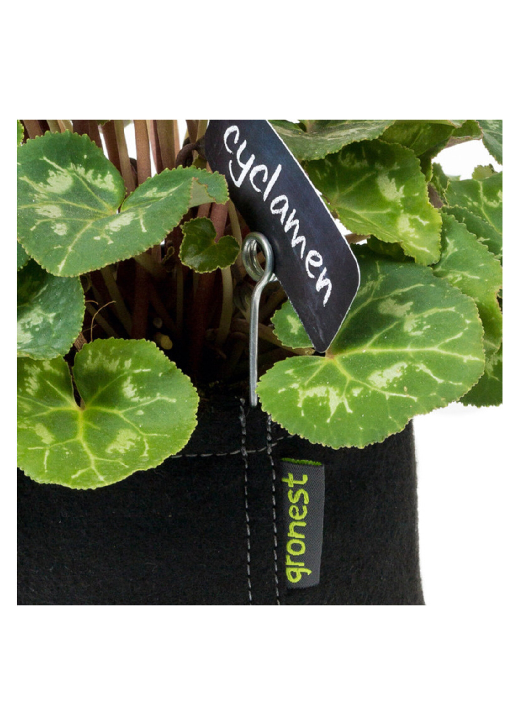 GRONEST GRONEST AQUA BREATHE SMARTPOT