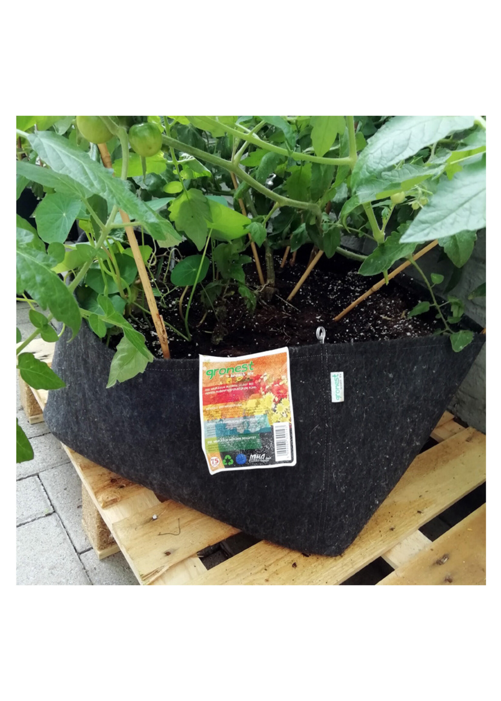 GRONEST GRONEST AQUA BREATHE SMARTPOT