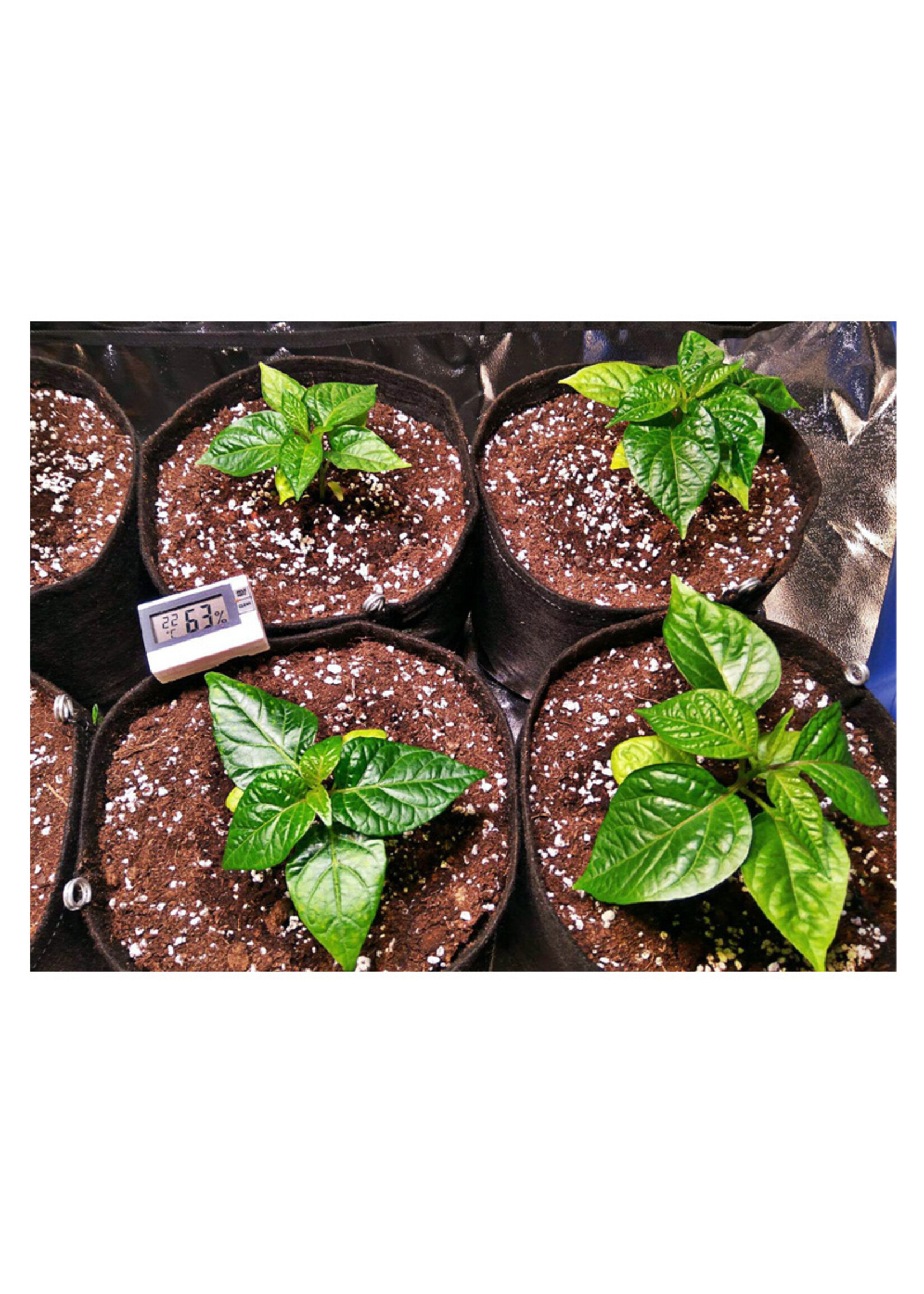 GRONEST GRONEST AQUA BREATHE SMARTPOT