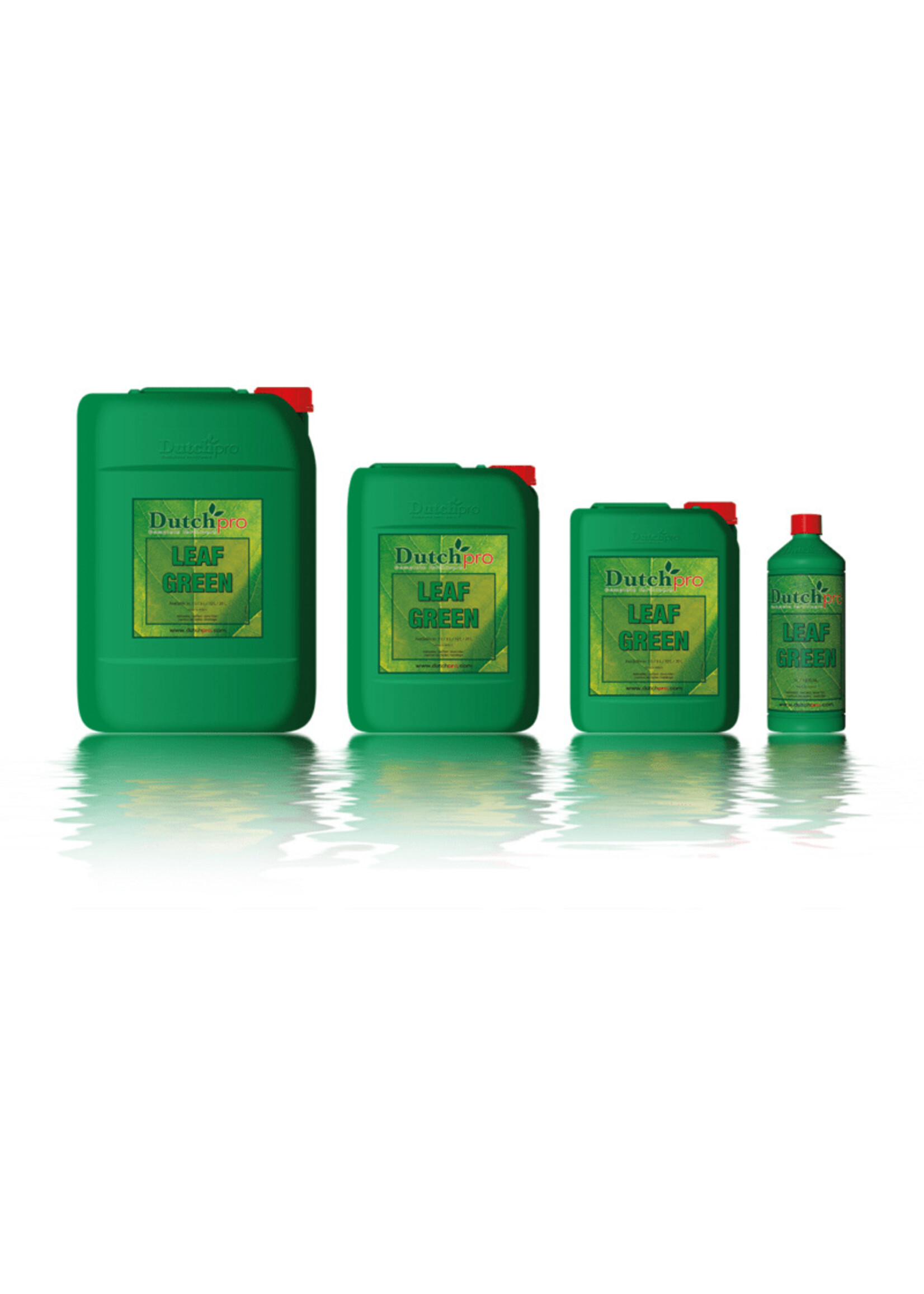 DUTCH PRO LEAF GREEN