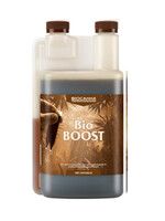 CANNA CANNA BIO BOOST