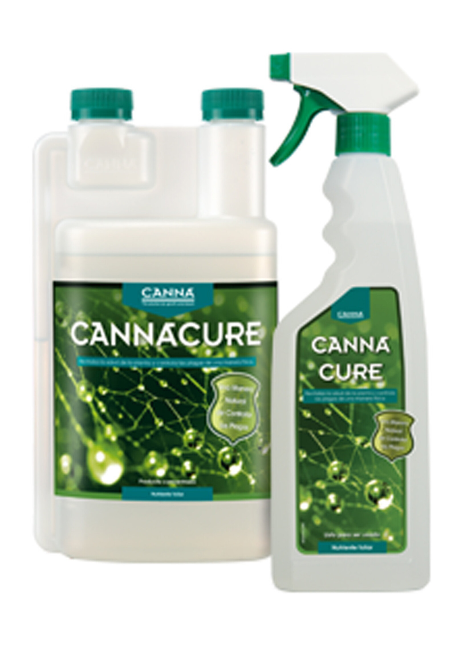 CANNA CANNA CANNACURE