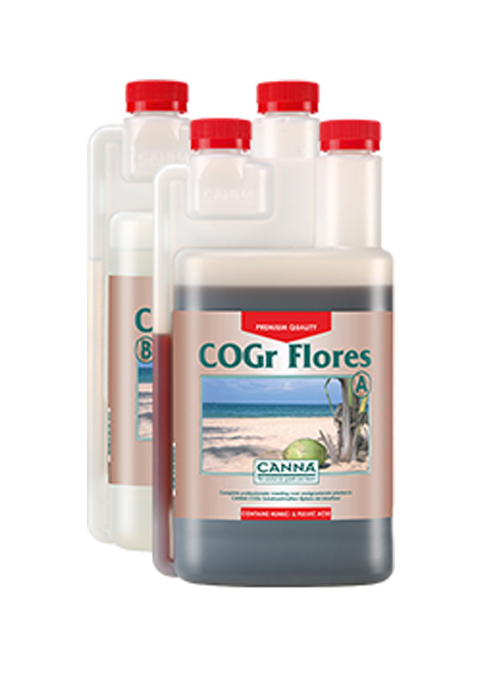 CANNA CANNA COGR FLORES A&B