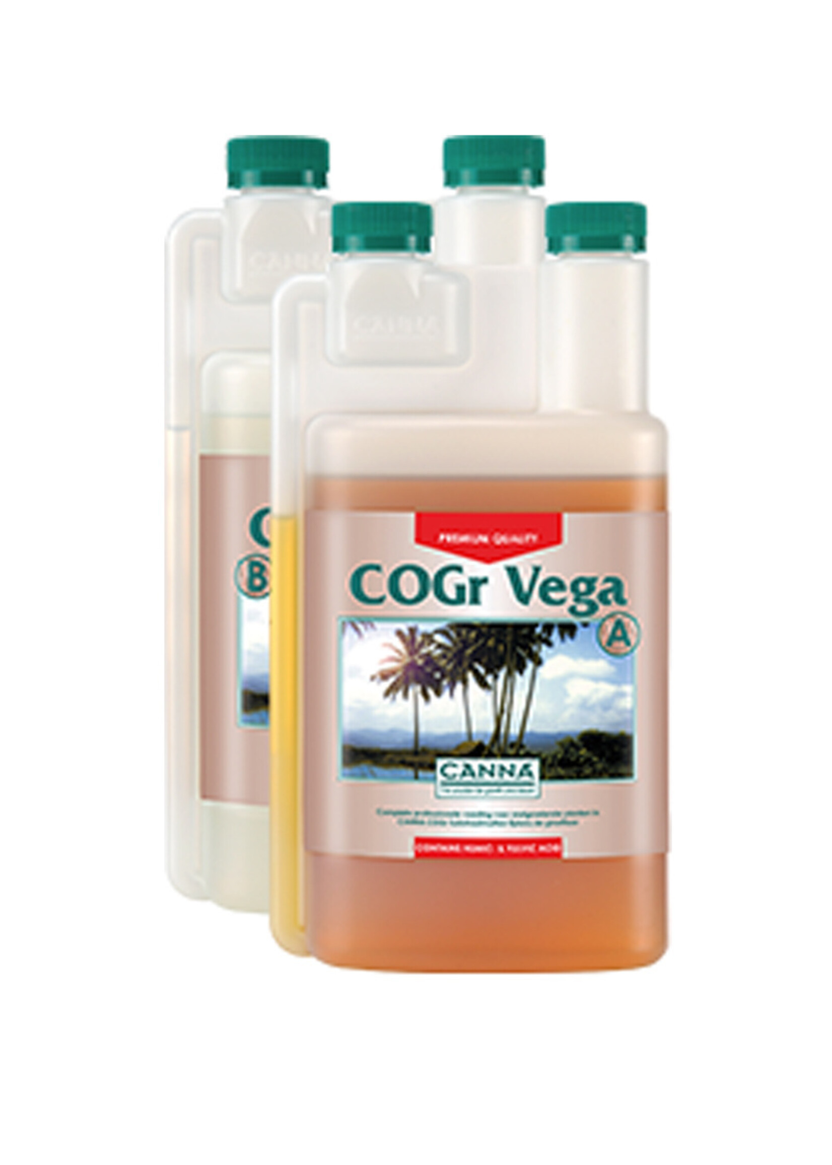 CANNA CANNA COGR VEGA A&B