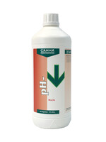 CANNA CANNA PH-WUCHS 3% 1L