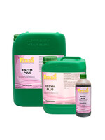 FERRO FERRO ENZYM PLUS