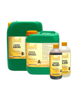 FERRO FERRO STANDAARD A+B COCOS BLUTE