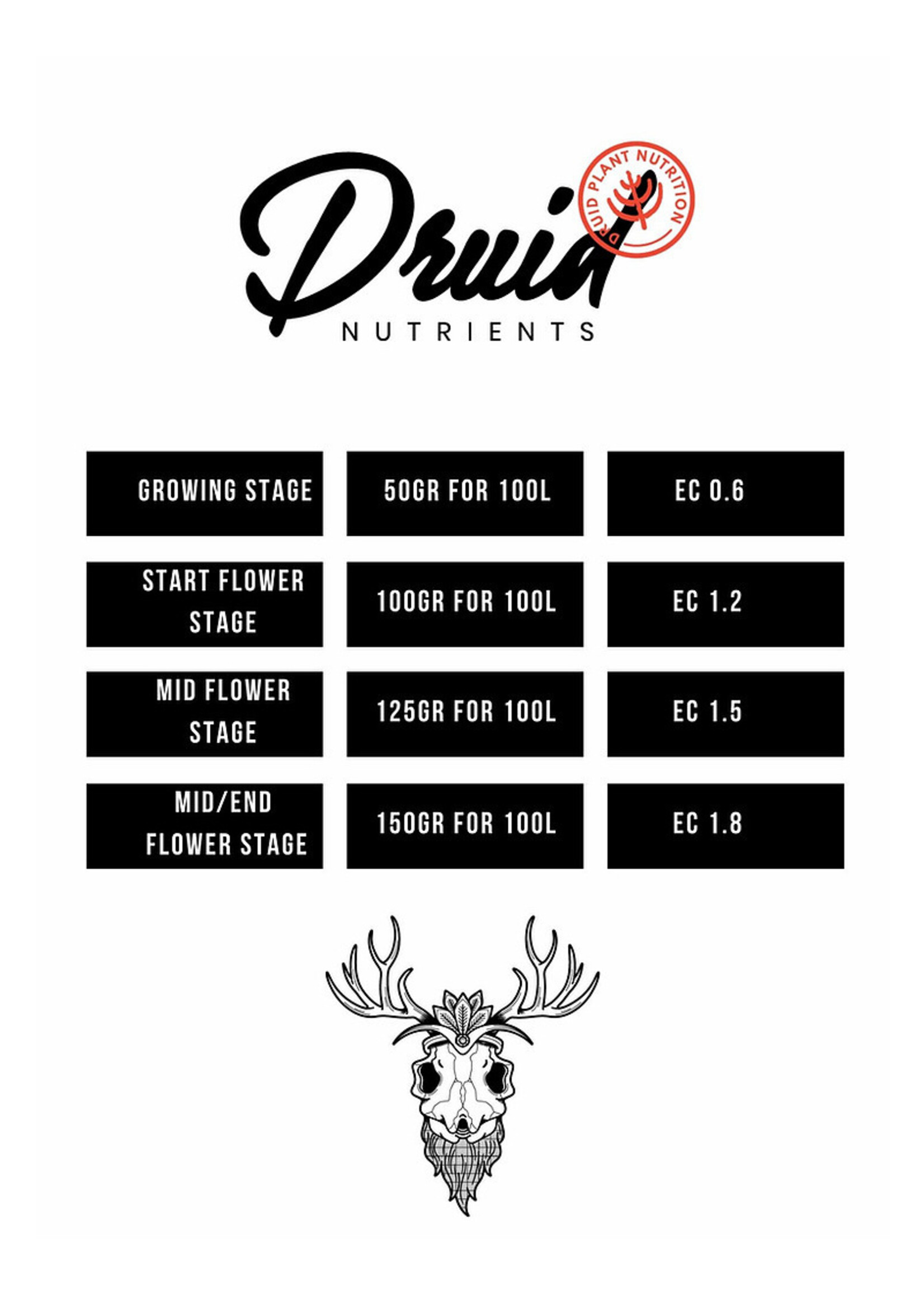 DRUID DRUID BERKANA ONE COMPONENT