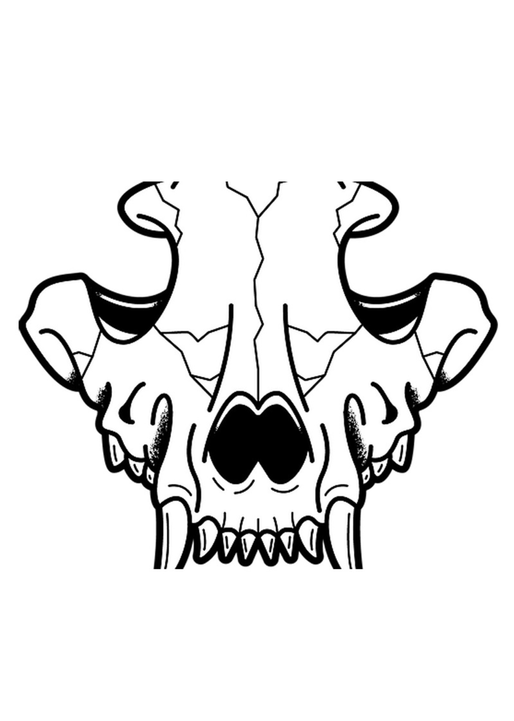 DRUID DRUID BERKANA ONE COMPONENT