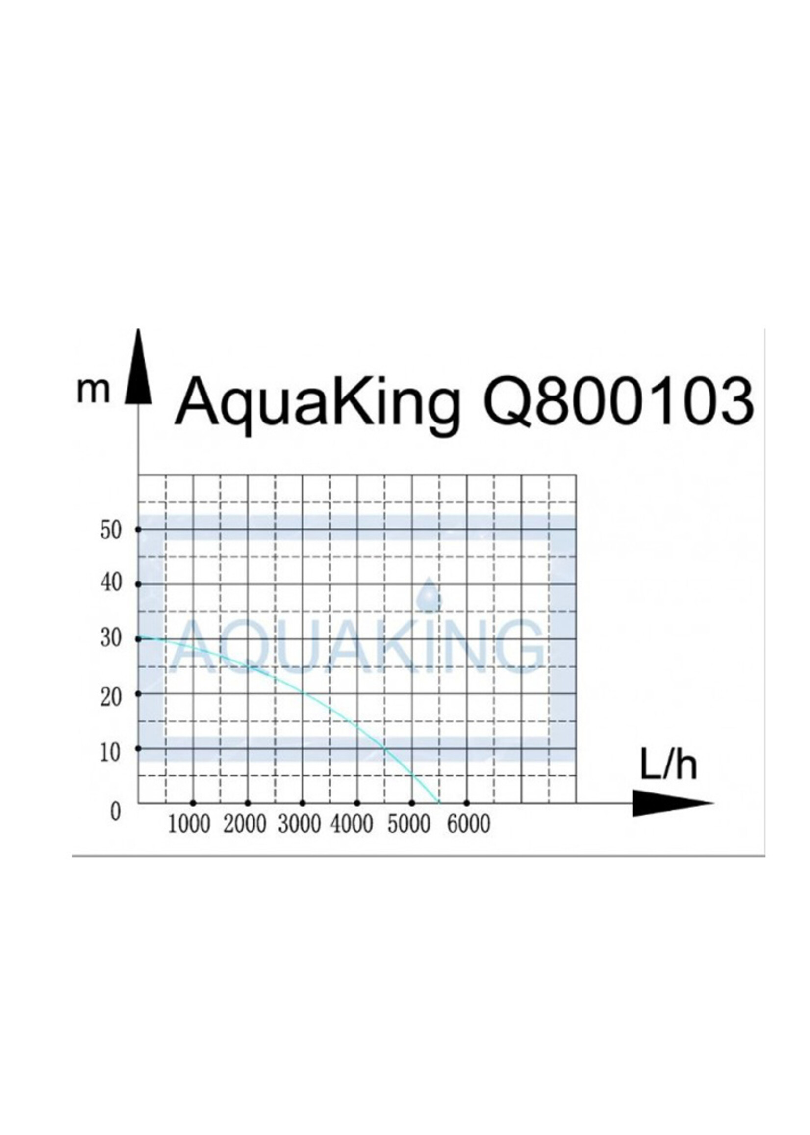 AQUAKING AQUAKING SUBMERSIBLE PUMP Q800103