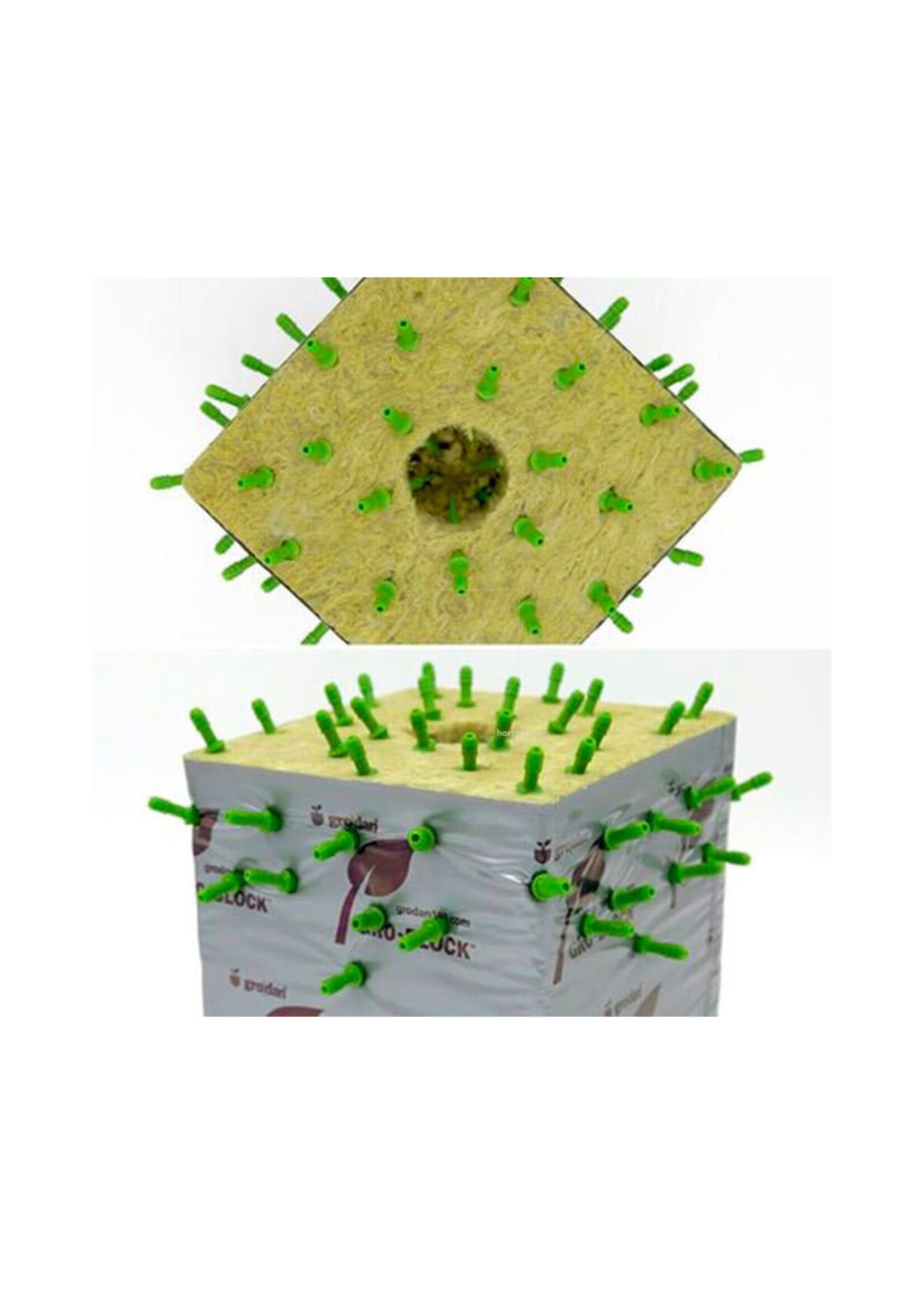 FLORAFLEX FLORAFLEX DART DRIPPER