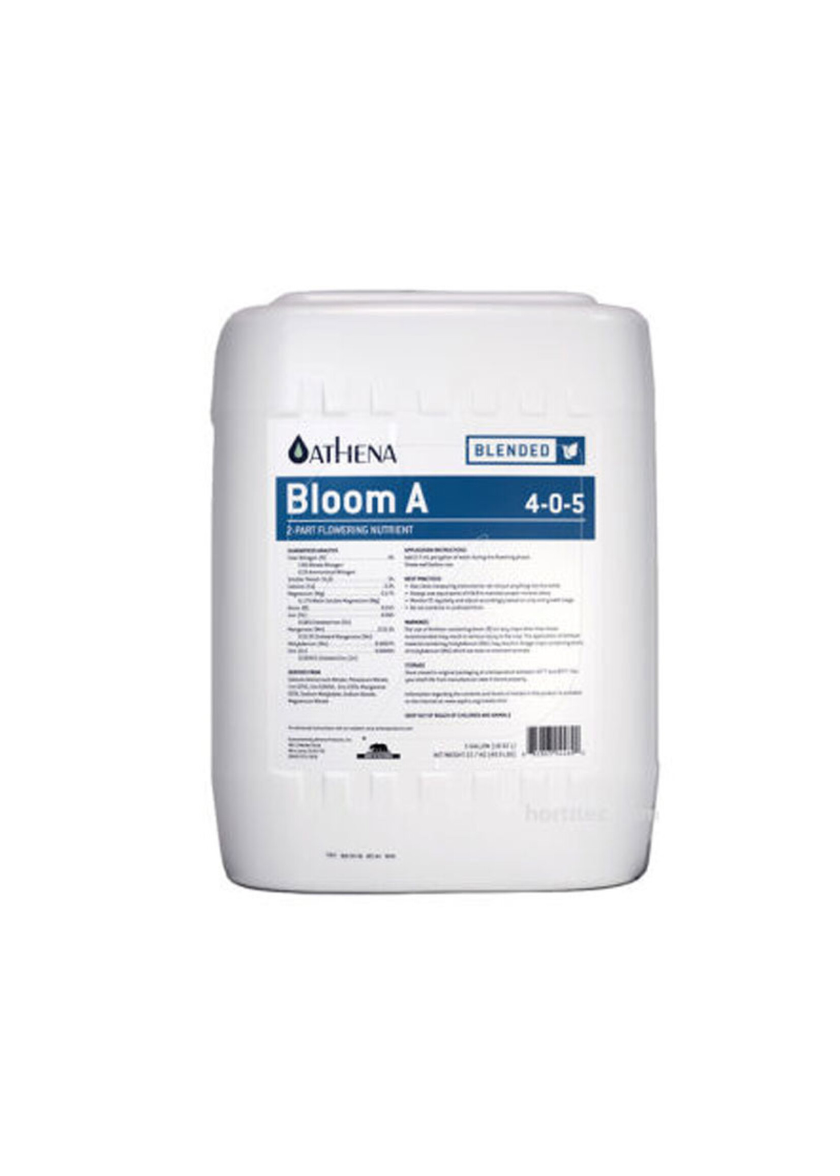 ATHENA ATHENA BLOOM A