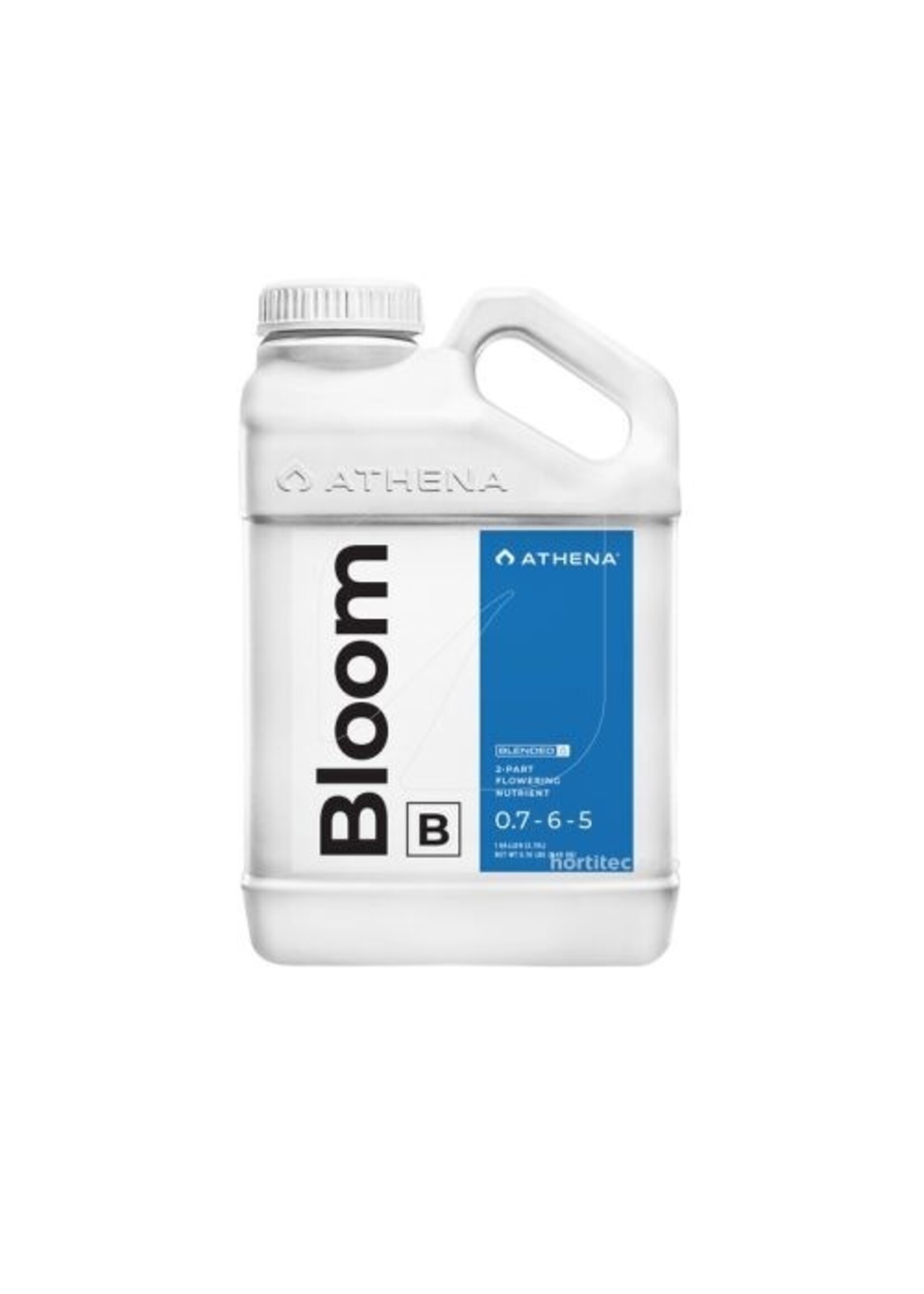 ATHENA ATHENA BLOOM B