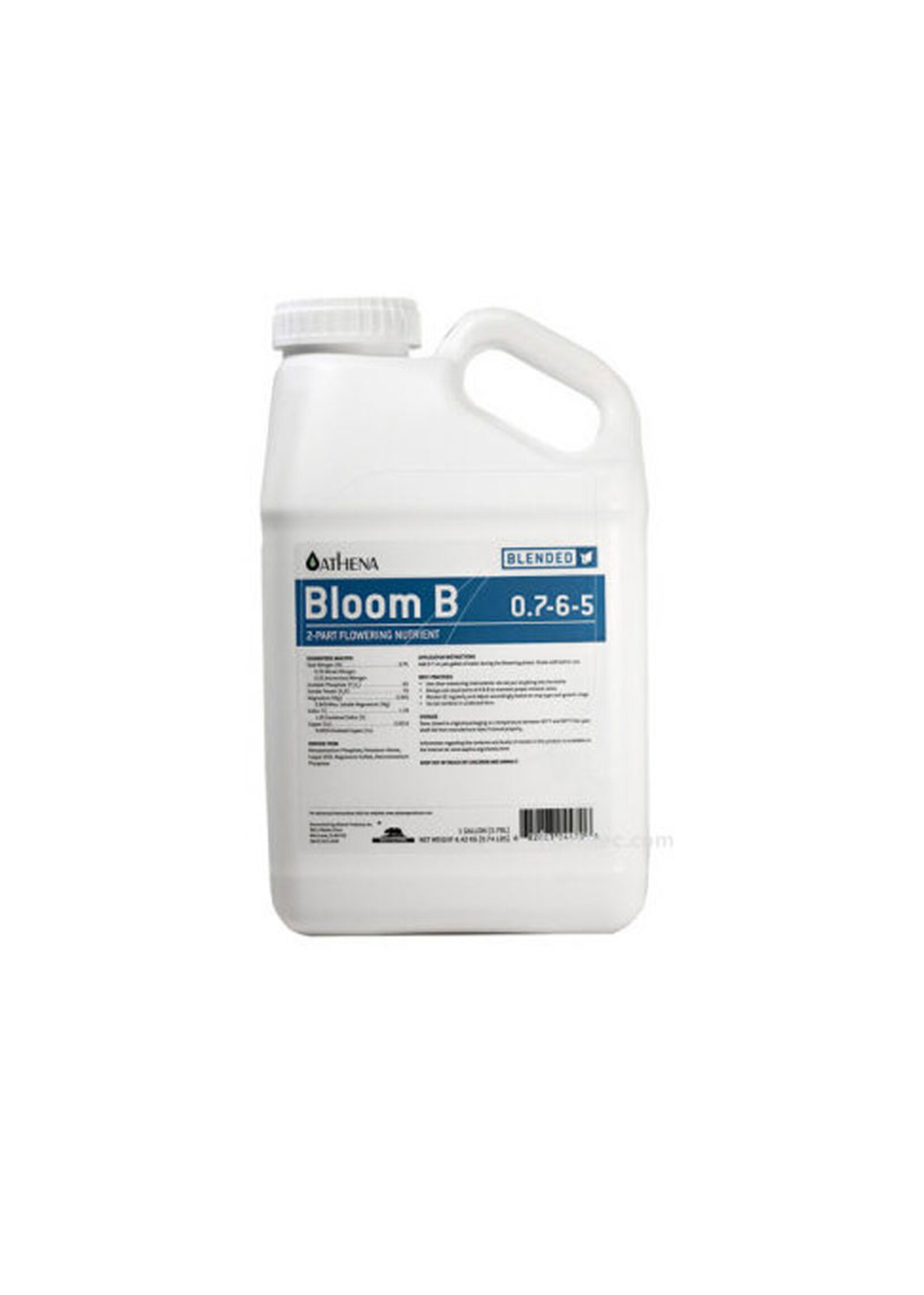 ATHENA ATHENA BLOOM B