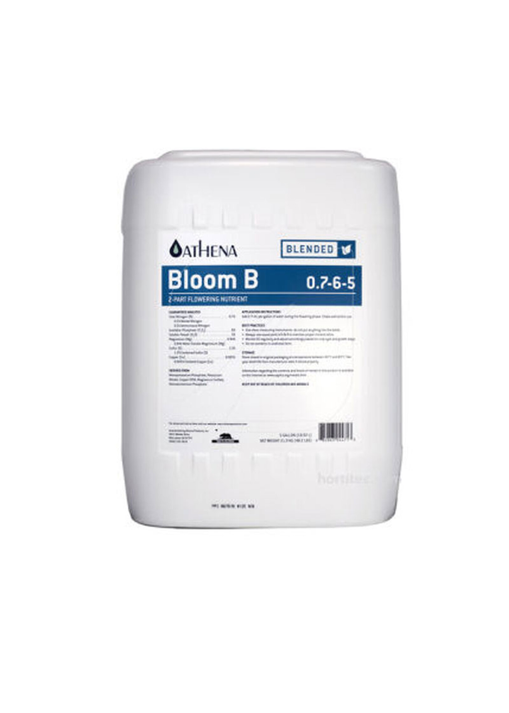 ATHENA ATHENA BLOOM B