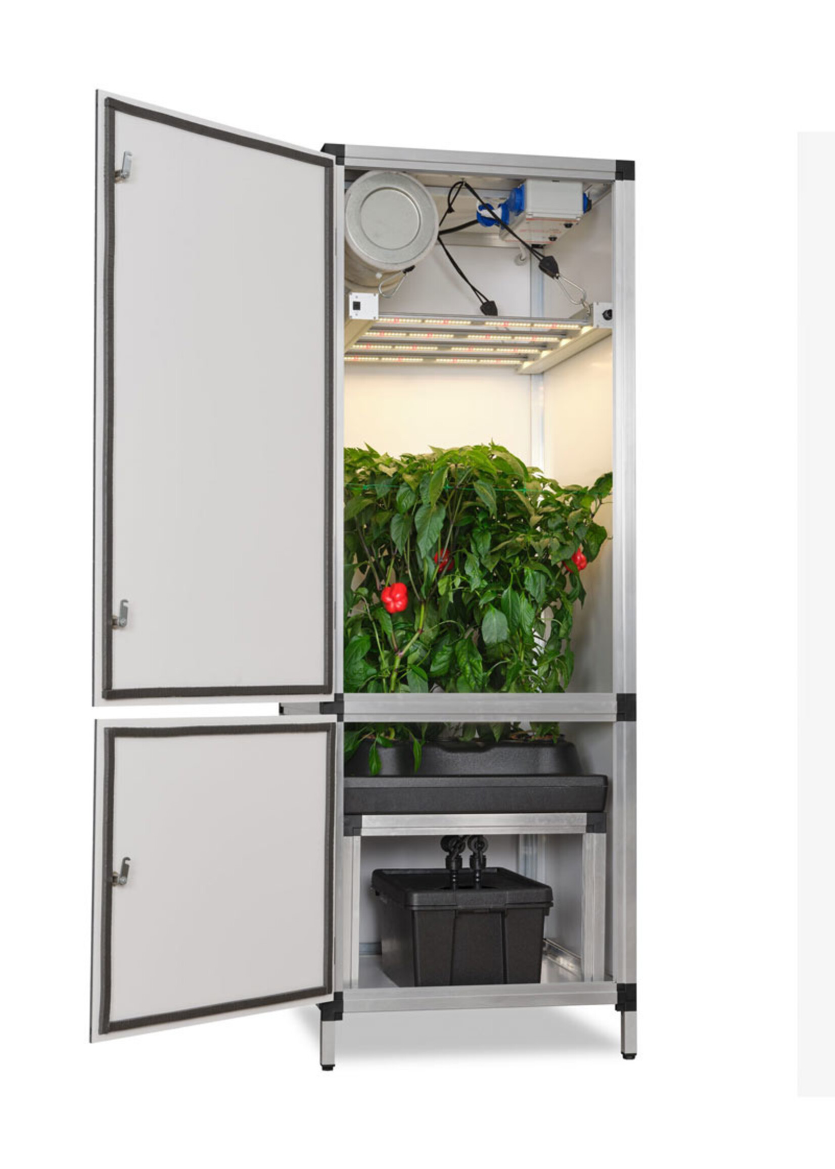 G-TOOLS G-TOOLS BONANZA 0,35M2 LED & IRRIGATION