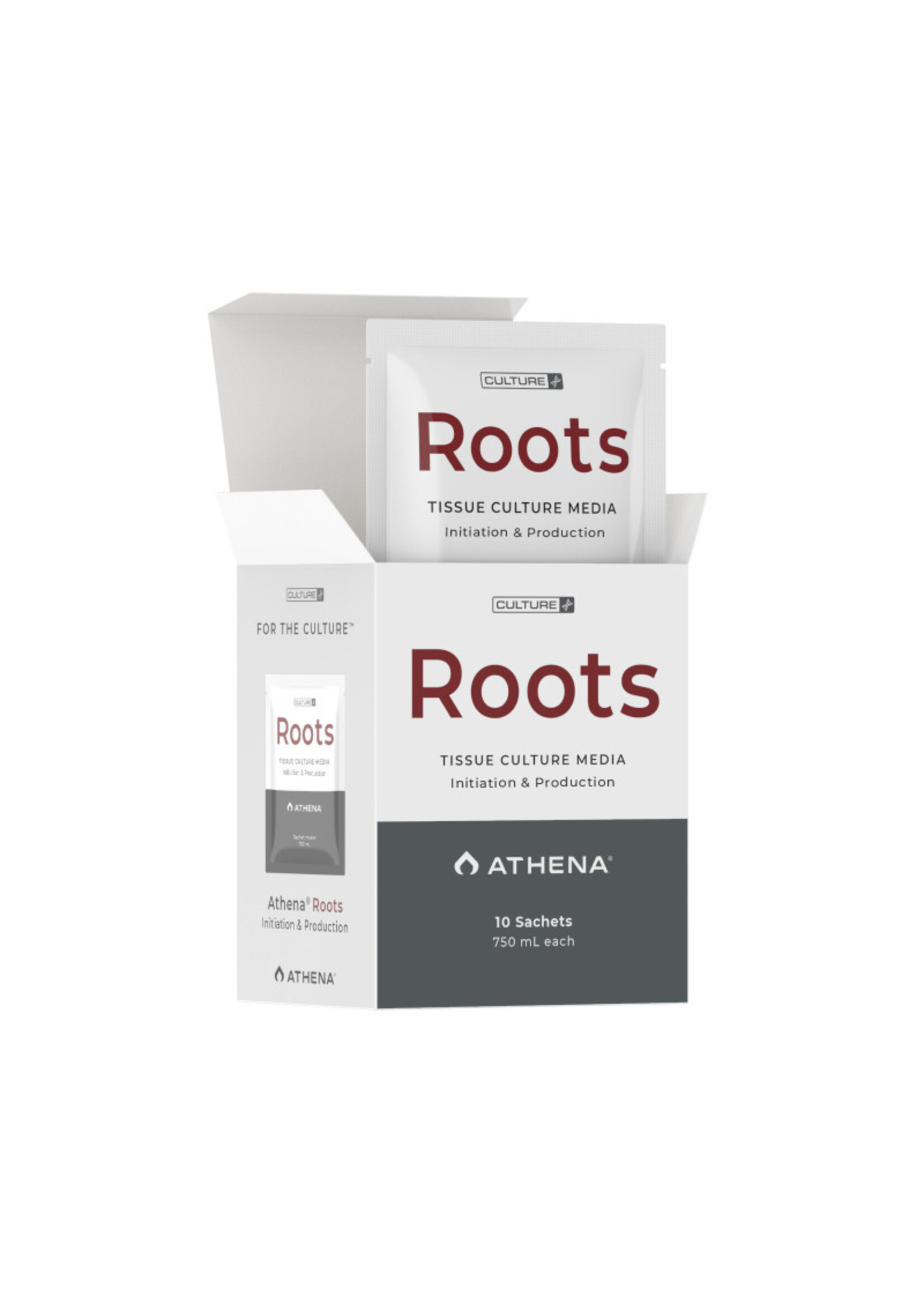 ATHENA ATHENA ROOTS