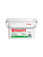 GEN 200 Rhodos Bloom