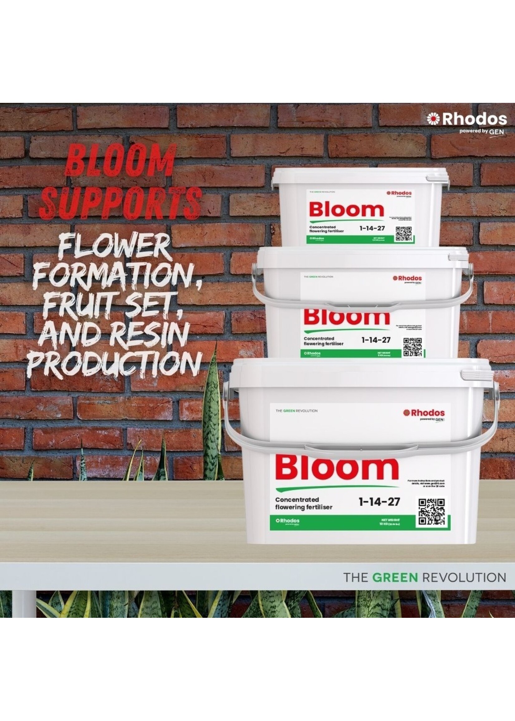 GEN 200 Rhodos Bloom