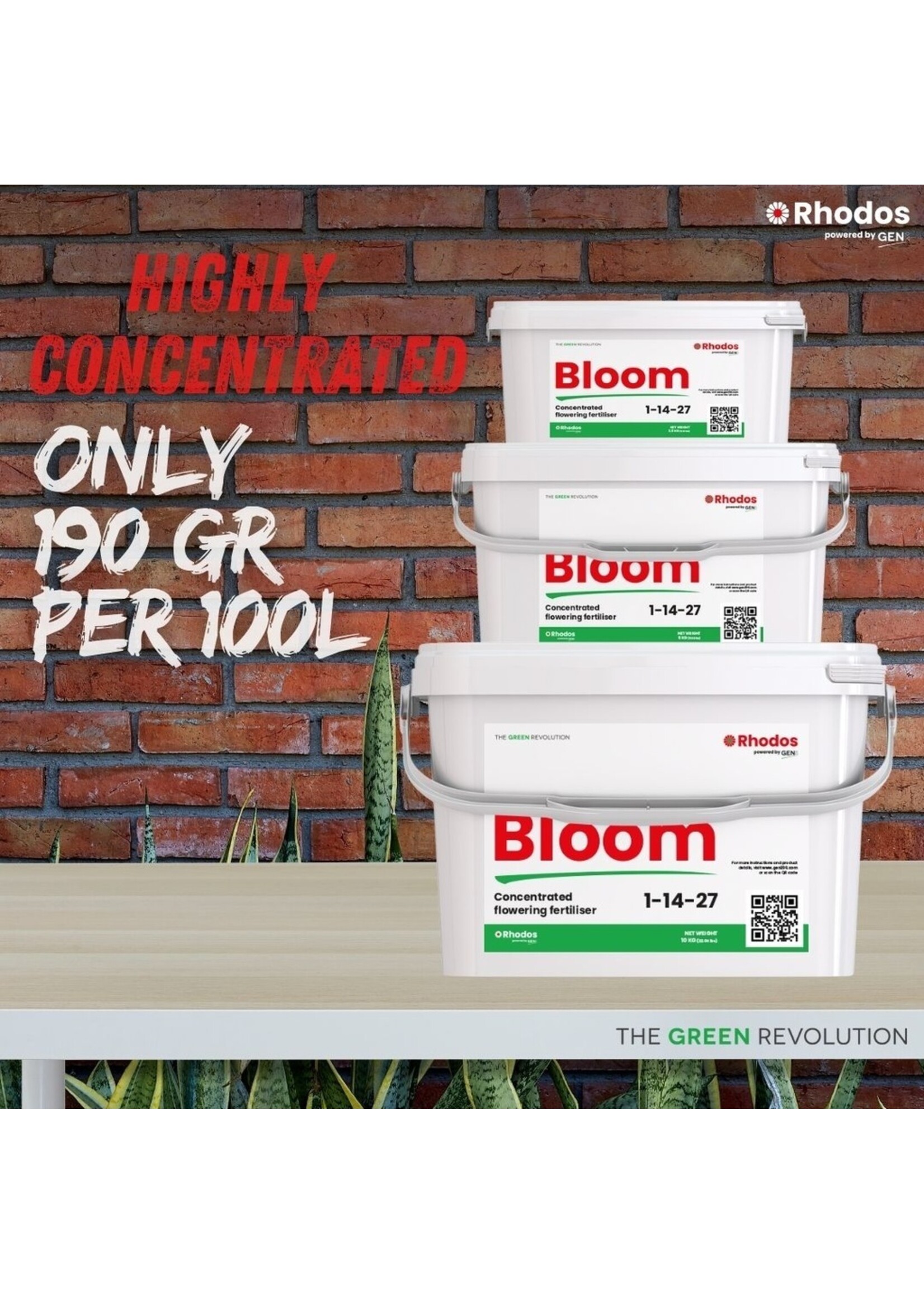 GEN 200 Rhodos Bloom