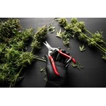 Harvesting & Processing