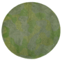 Coral - Tropical Green 9231