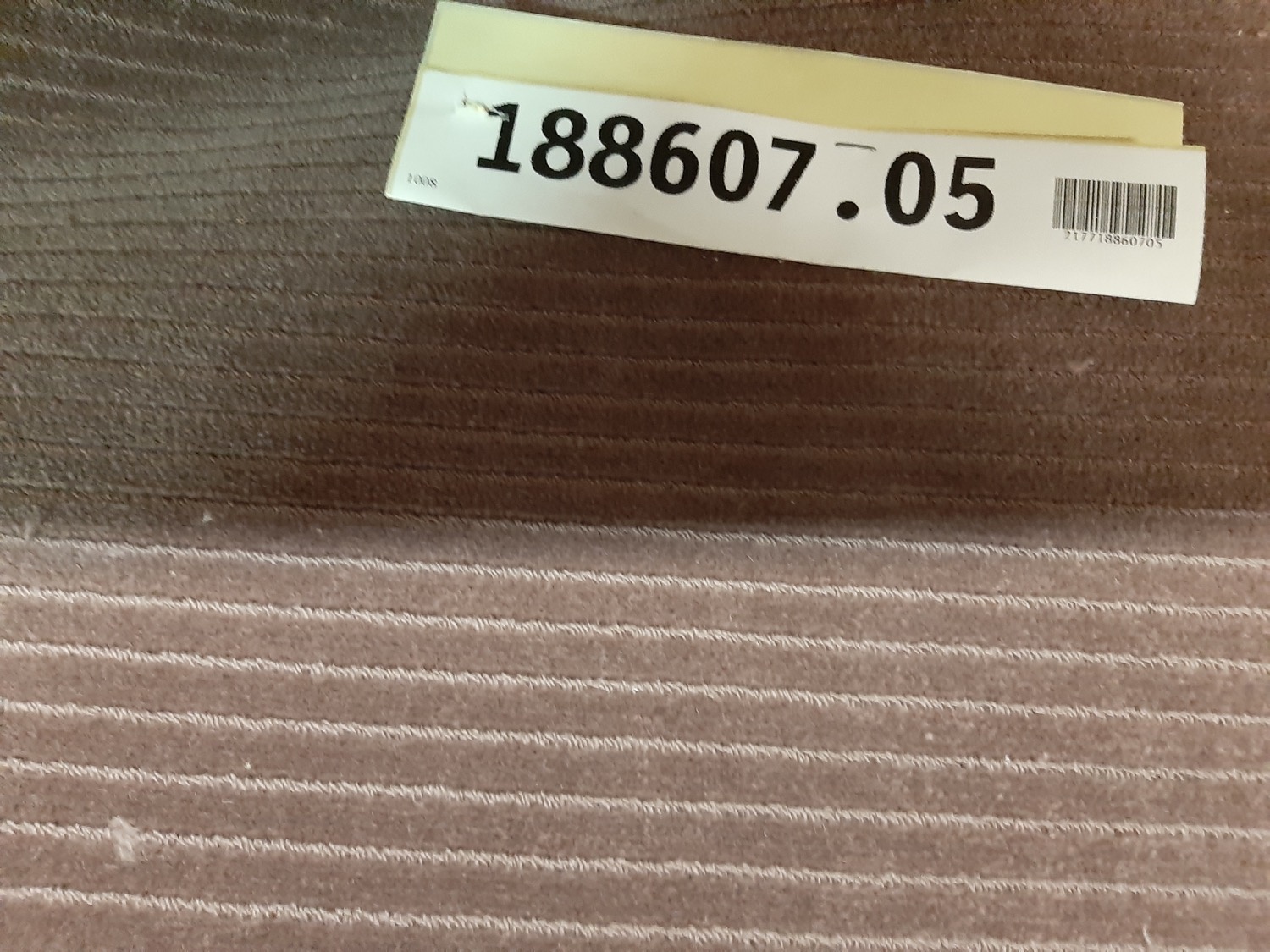 DUNE 300 1001 - 457 x 310 cm