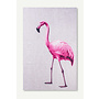 Flamingo - Pink Misery 9527
