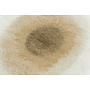 Drop - Fawn 2103