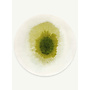 Drop - Green Pepper 2105