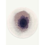 Drop - Purple Smoke 2101