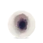 Drop - Purple Smoke 2101