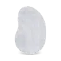 Tsingy Oyster 9198 - Baobab Collection