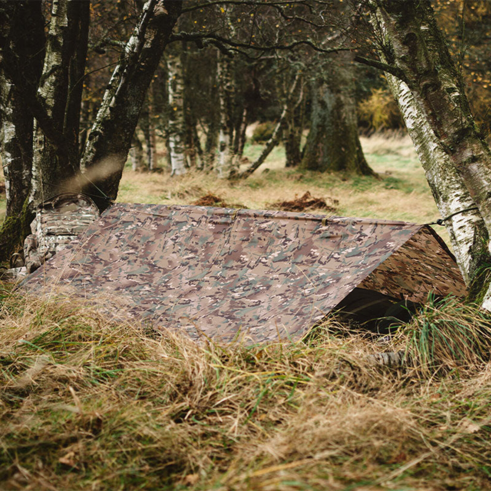 Basha / tarp - HMTC Camo - 250 x 170 cm