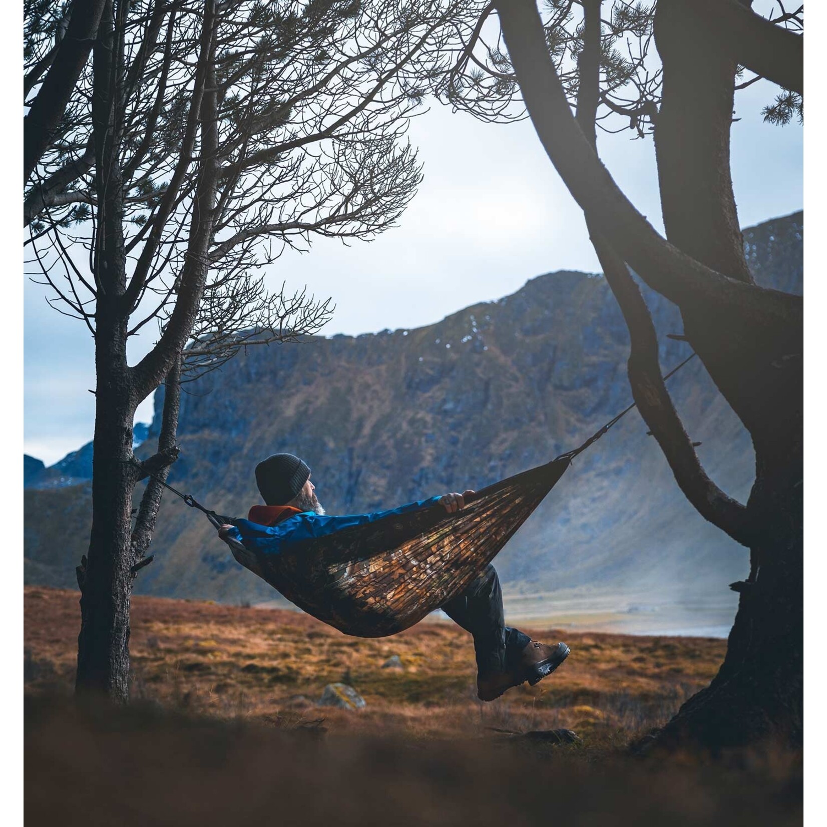 Moskito-Traveller Forest