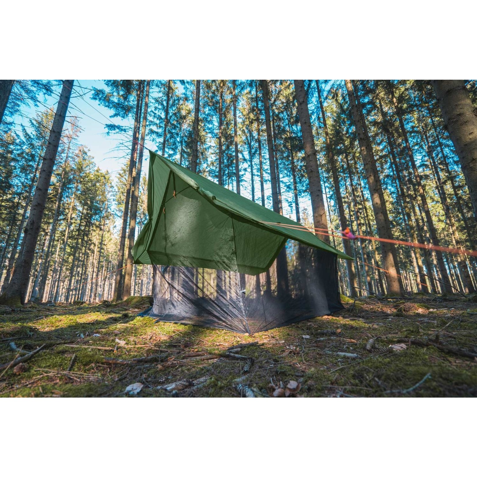 Moskito Wing Tarp