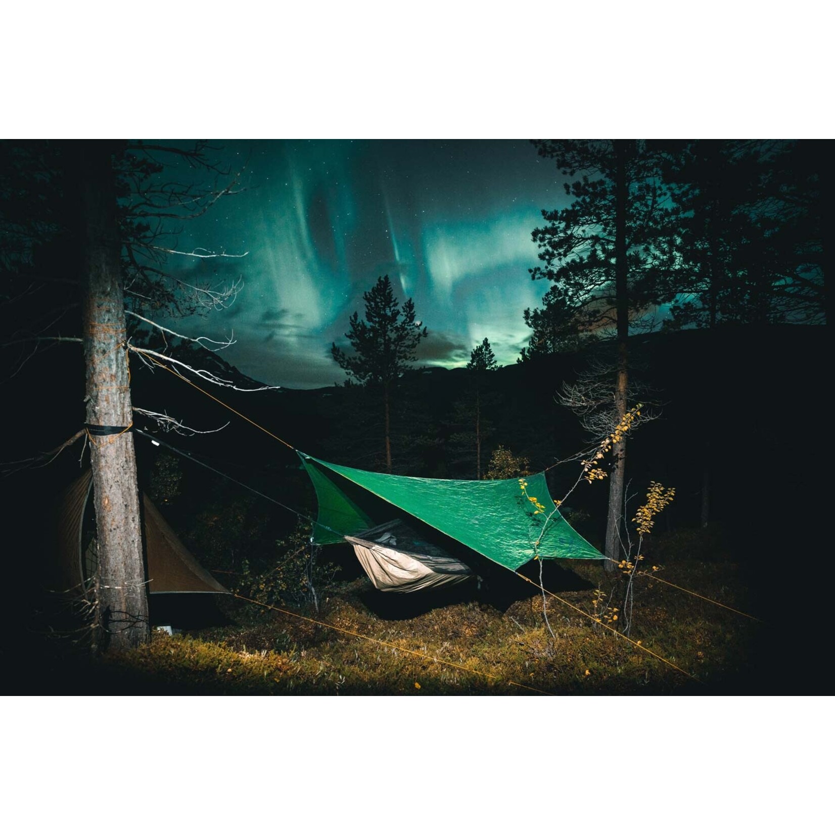Traveller Tarp Green