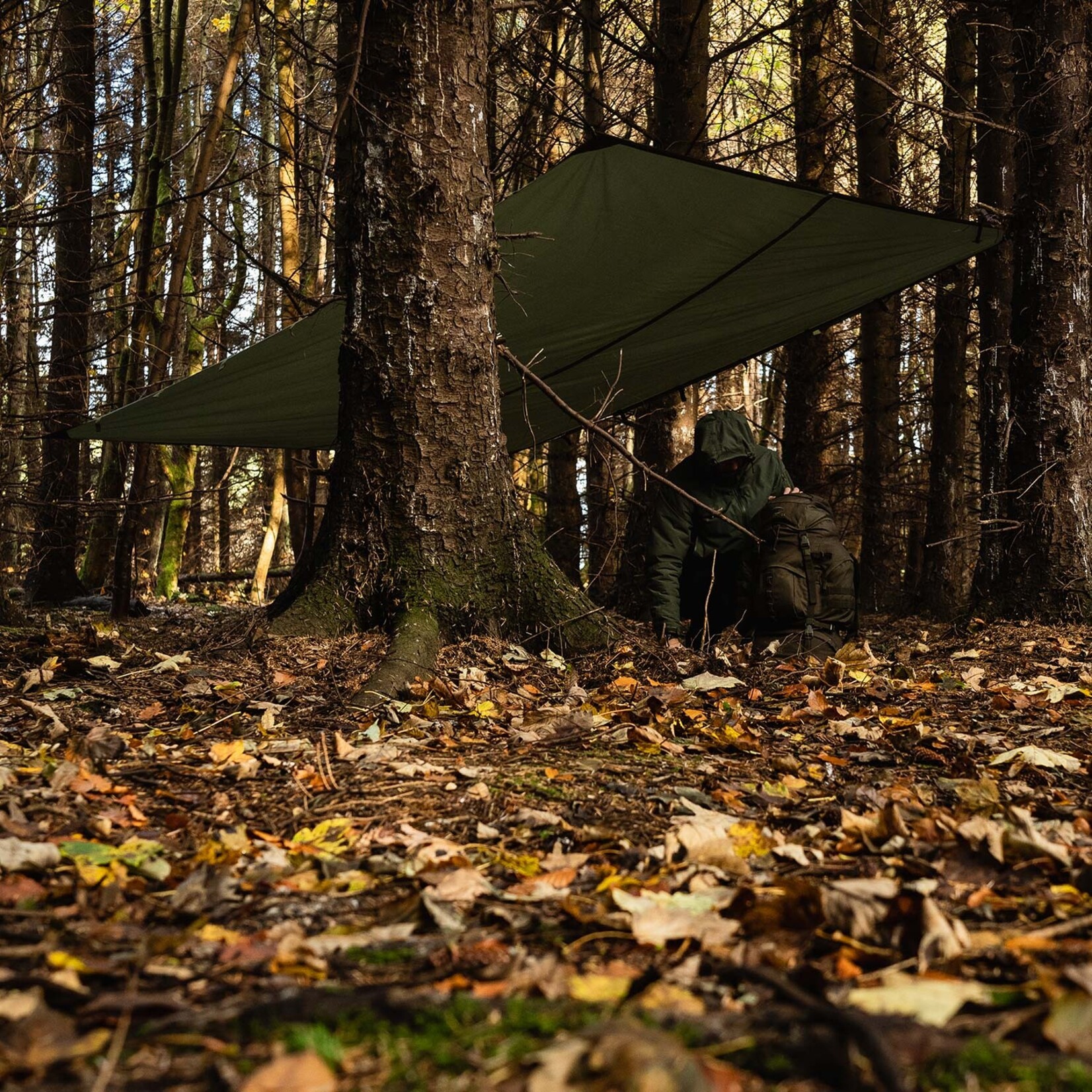 Basha / tarp XL - Olive Green - 300cm x 285cm