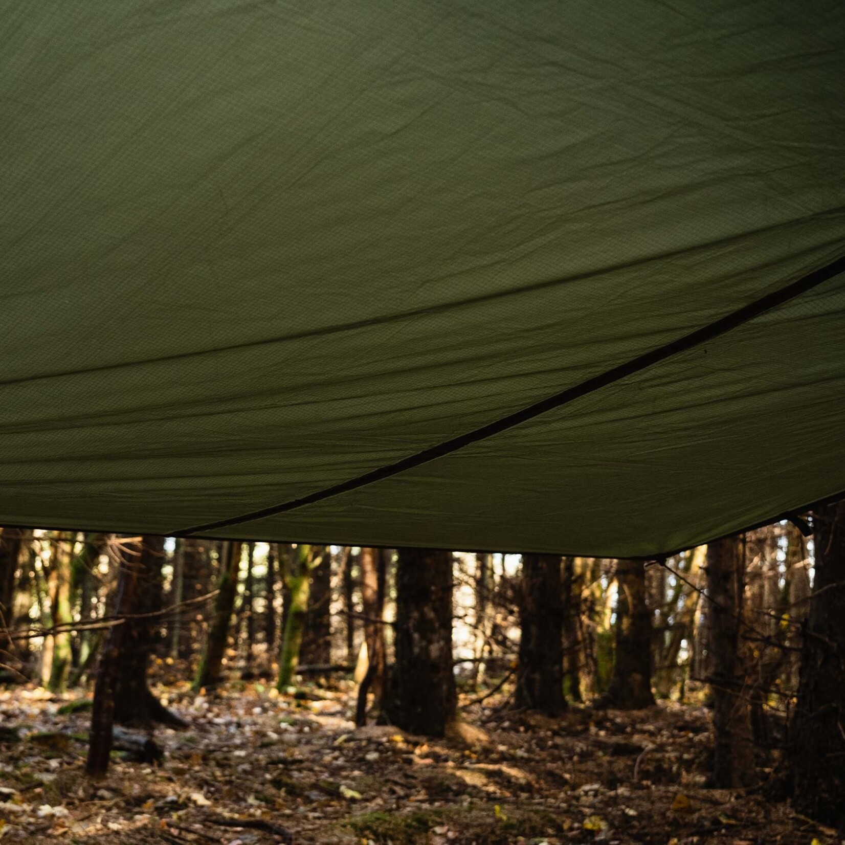 Basha / tarp XL - Olive Green - 300cm x 285cm
