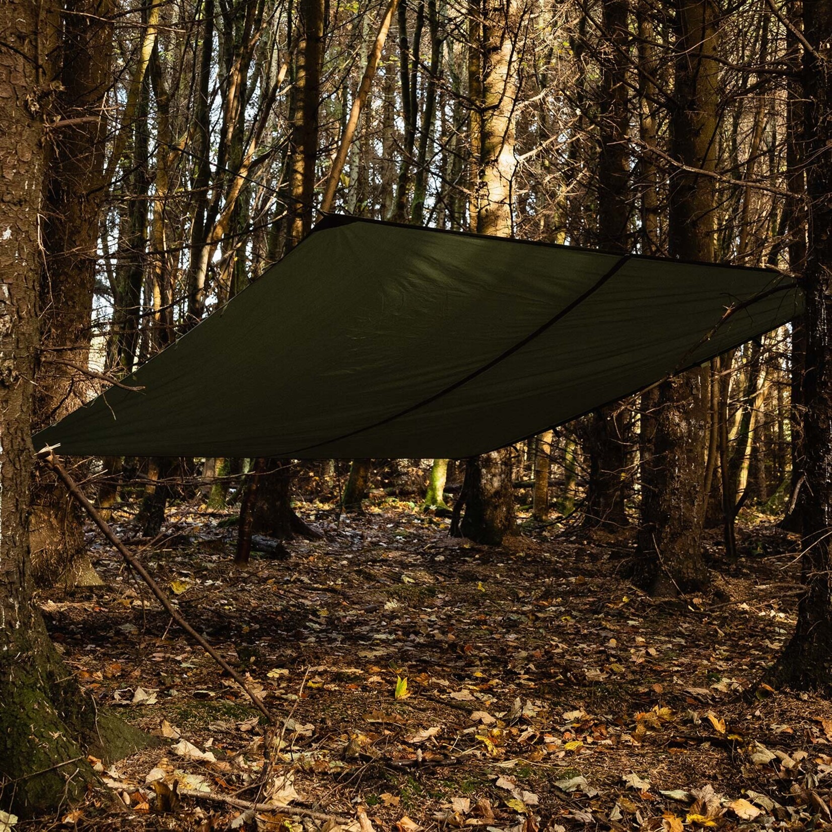Basha / tarp XL - Olive Green - 300cm x 285cm