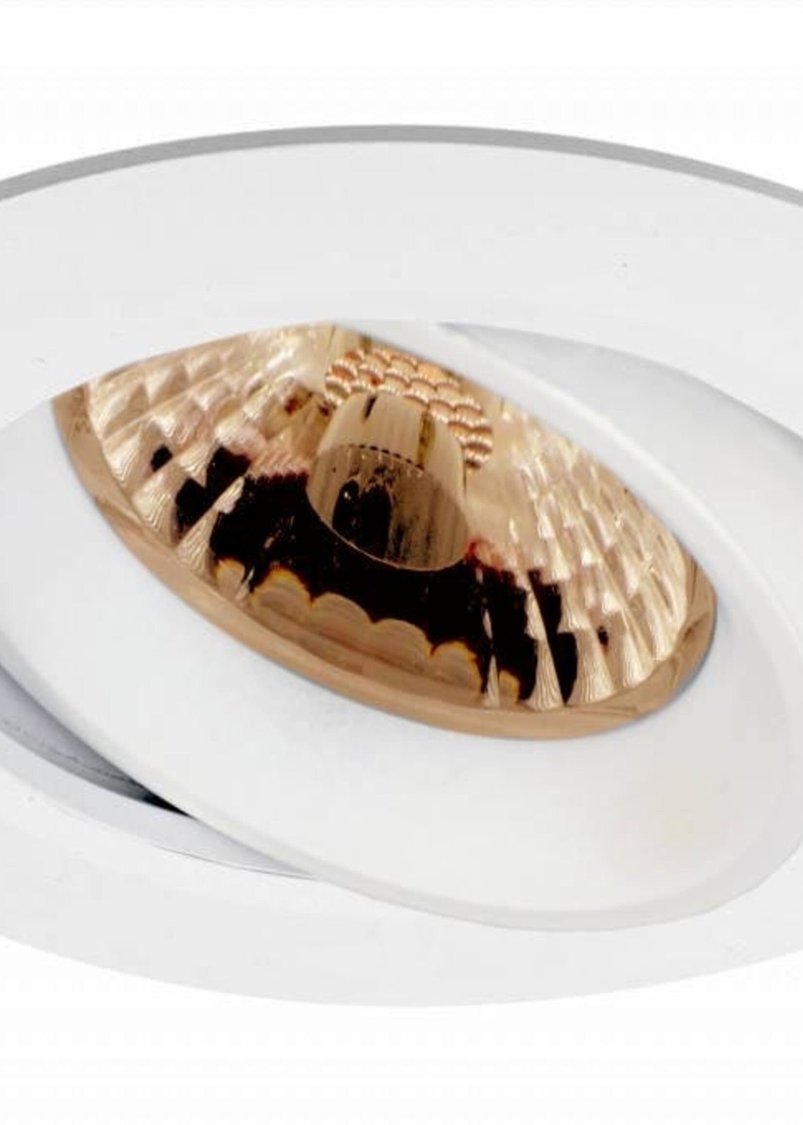 Set van 4 stuks Inbouw LEDspot Parijs, Warm wit licht, dimbaar, 8 Watt, kantelbaar