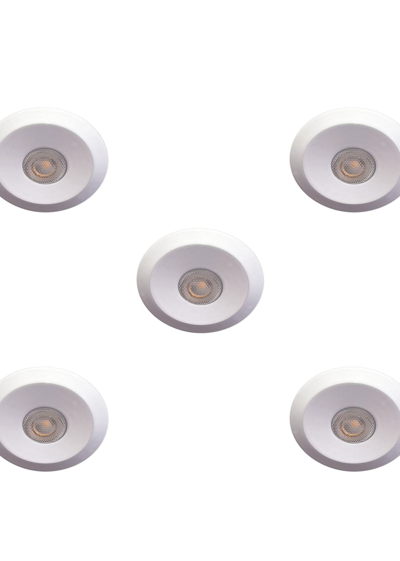Set van 5 Microledjes Maduro, dimbaar,  1,2 Watt, Witte uitvoering, inclusief trafo/driver IP44