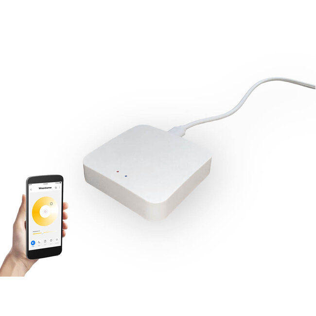 Zigbee Bridge / gateway